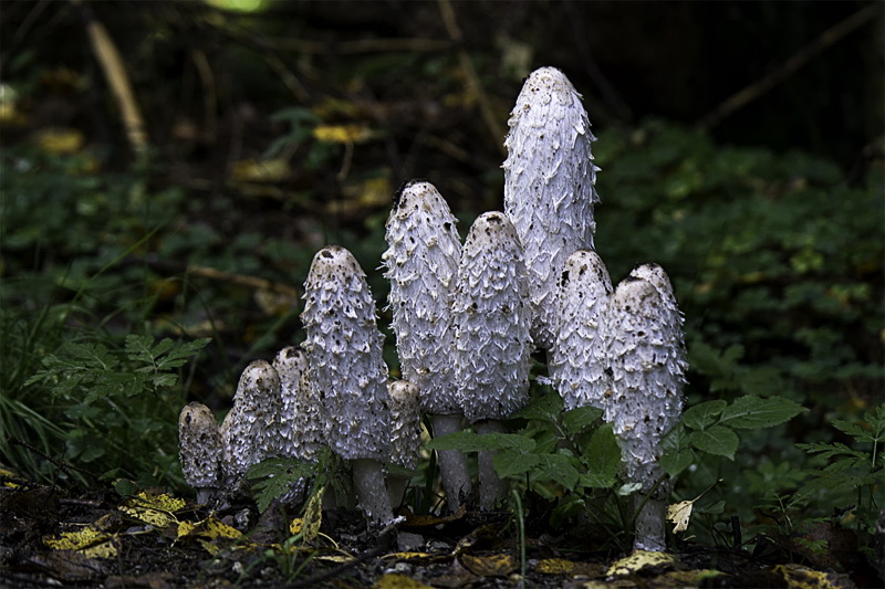 Allgäu 09 - 2014 - 20140913_0374 als Smartobjekt-1 Kopie.jpg - Am nächsten Tag wieder schönes Wetter